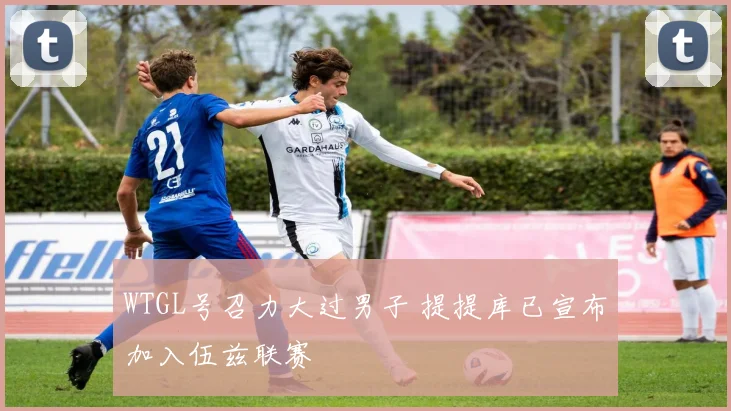 WTGL号召力大过男子 提提库已宣布加入伍兹联赛