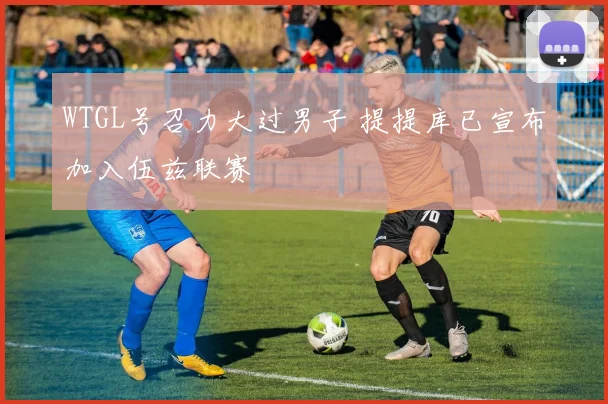 WTGL号召力大过男子 提提库已宣布加入伍兹联赛