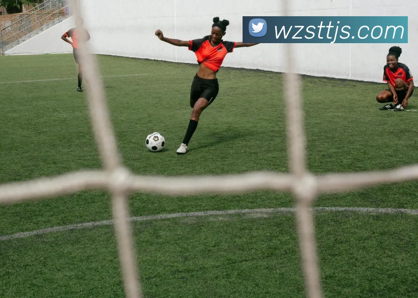 App Interface Preview