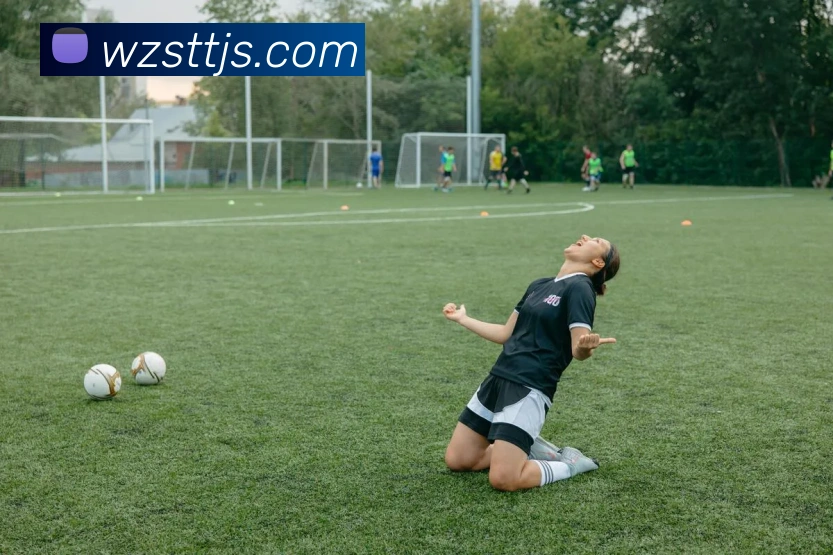 多媒体互动体验